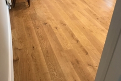 Xcutconstruction_047